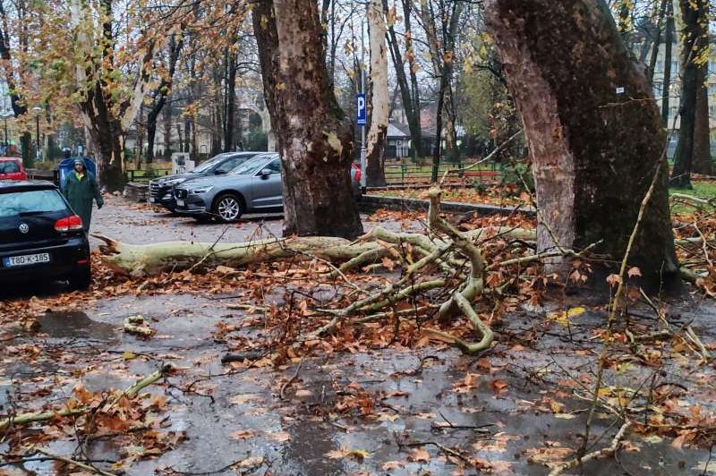 Snažan vjetar u Bihaću čupao stabla i oštetio saobraćajne znakove