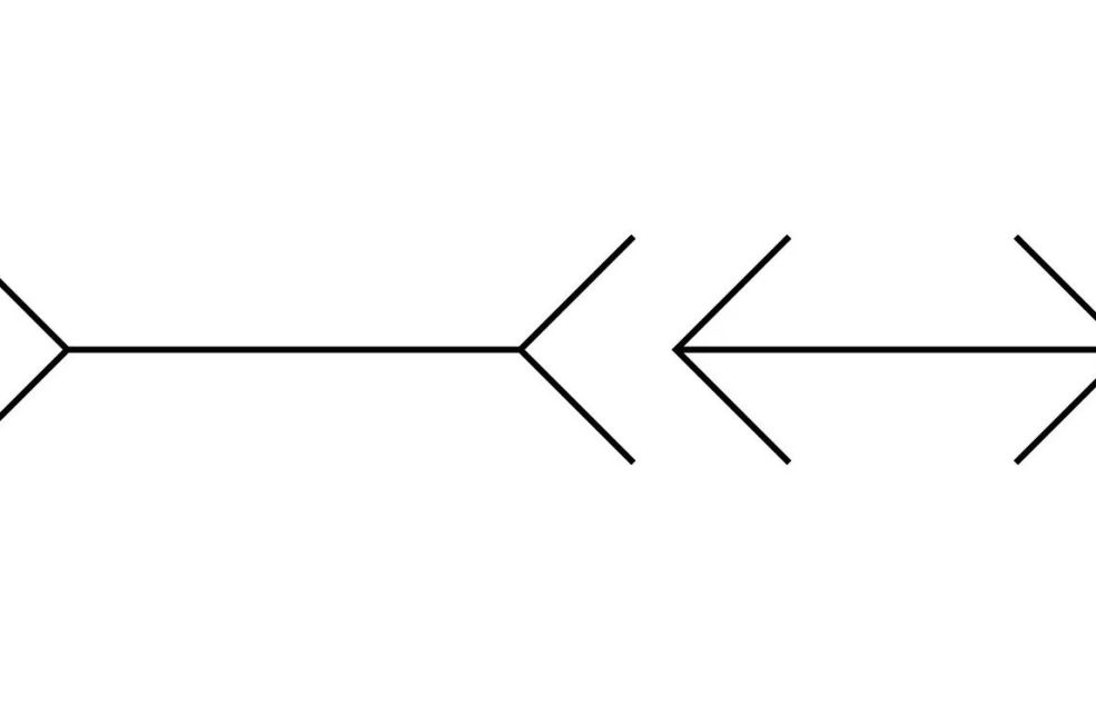 Najpoznatija optička iluzija otkriva da li ste posebni: KOJA LINIJA JE DUŽA?