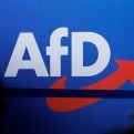 AfD predlaže 'novu Evropsku zajednicu' bez eura i EU-a