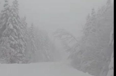 Proglašeno stanje elementarne nepogode u Tesliću (VIDEO)