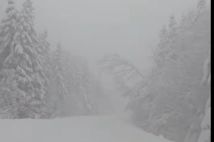 Proglašeno stanje elementarne nepogode u Tesliću (VIDEO)