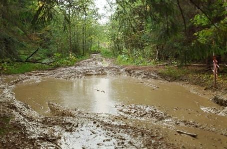 LOVAC UPAO U ŽIVO BLATO: DRAMA KOD NIŠA! Niko iz grupe nije smio da pomogne da ne bi i oni potonuli