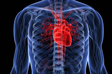 Izbjegavajte ove namirnice: Podižu rizik za srčani udar!