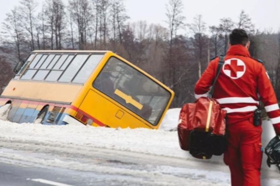 Žena iz BiH bila za volanom školskog autobusa koji je sletio s puta u Austriji