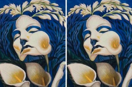 Šta ste prvo vidjeli na slici? Ovaj test otkriva vašu budućnost