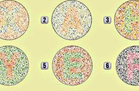 Slovo koje prvo ugledate na fotografiji otkriće vam koja je karijera prava za vas, ali i