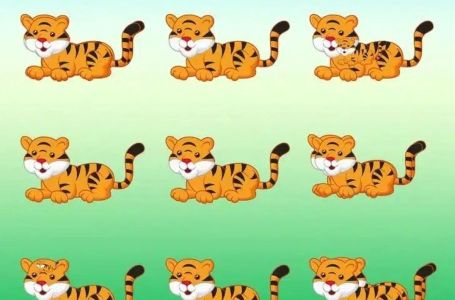 Mozgalica samo za one s dobrim okom i snažnim fokusom: Koliko tigrova ima na fotografiji?