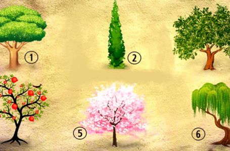 TEST: Koje bi stablo posadili u svom vrtu? Evo šta to govori o vama