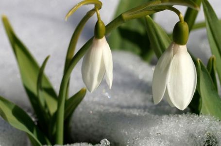 Jučer počeo "hamsin": Evo kad udara prvo džemre, a kad preostala dva