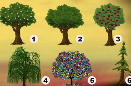 Izaberite drvo koje vam se najviše dopada na slici: Test podsvesti otkriva kako vas drugi ljudi vide