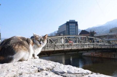 Sutra u BiH pretežno oblačno, tokom dana razvedravanje
