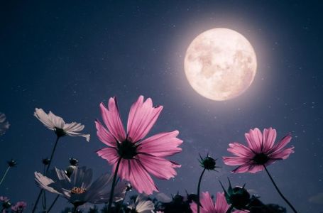 Pun Mjesec u Lavu isprazniće džepove ovim pripadnicima Zodijaka: Zbog neočekivanih troškova i...