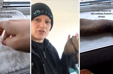 Podijelila je trik za uklanjanje vlage i oduševila sve: Trebaju vam samo ove dvije stvari