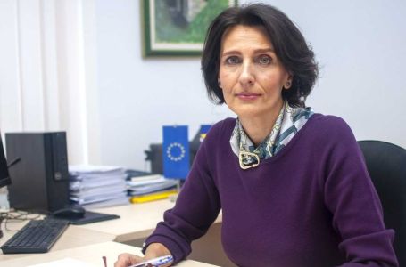 Elvira Habota, direktorica DEI BiH: Svaki propis koji ne bude usklađen s EU vratit će nam