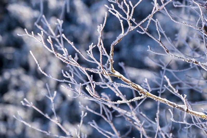 Stiže jače zahlađenje u BiH, oglasili se meteorolozi: Evo kad će pasti snijeg