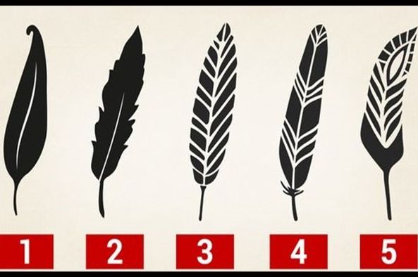 Psihološki test: Izaberite jedno pero i otkrijte najjače crte vašeg karaktera i skrivenu moć