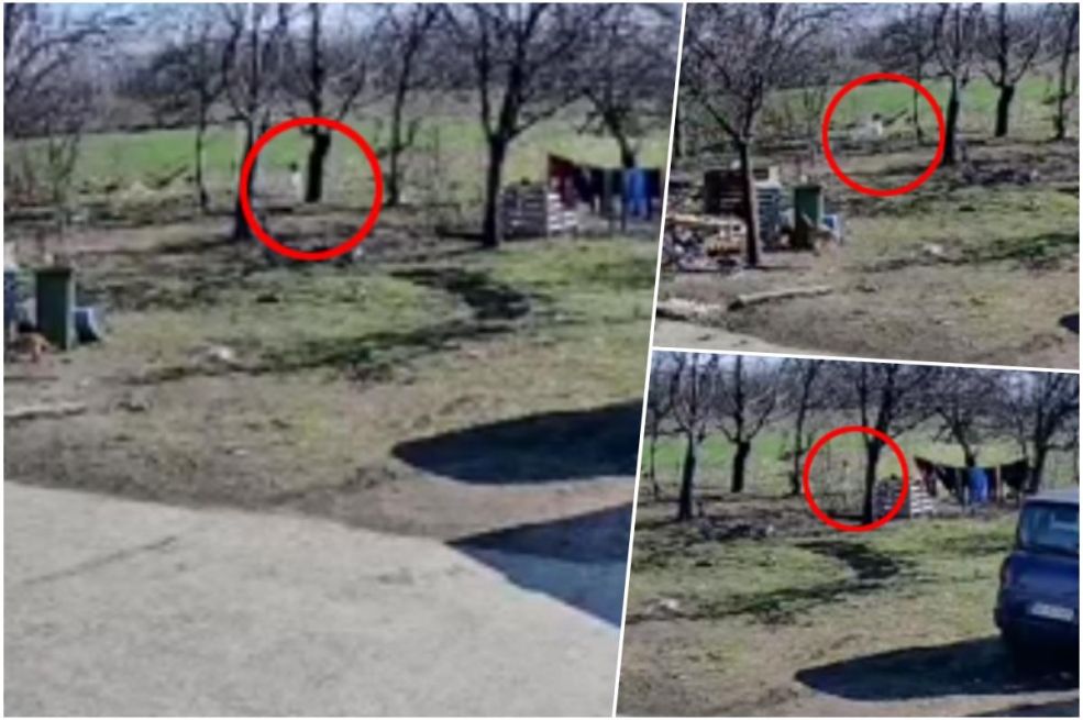 Dvogodišnja djevojčica Dunja M. prevezena u bolnicu u Beograd