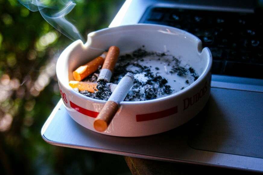 Sa 1 glavicom luka riješila se smrada duhana u kući: Krajnje je jednostavno