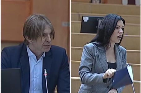 Burno na sjednici Predstavničkog doma PS BiH: Vulić žestoko reagovala
