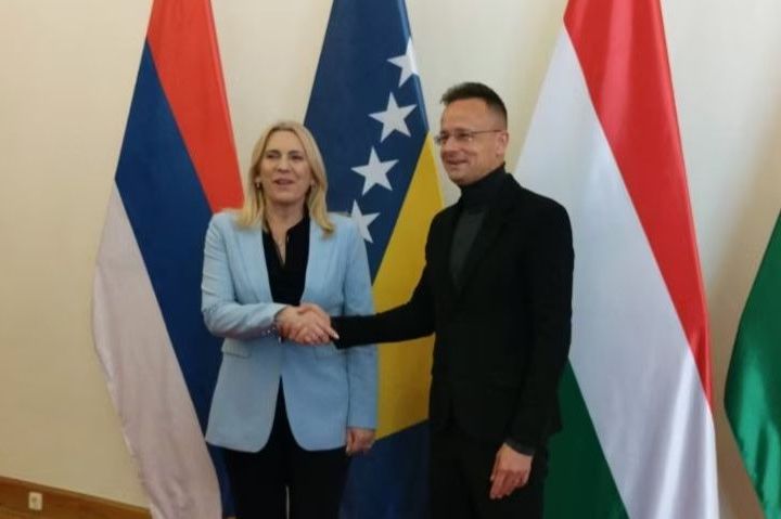 Zašto niko službeno u ime BiH nije reagirao na provokaciju Mađarske