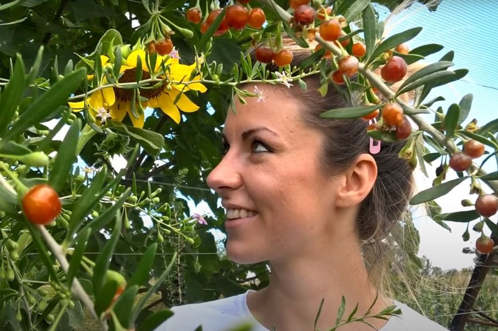 Ljuba uzgaja plod od kog zarađuje i do 250 eura po kilogramu