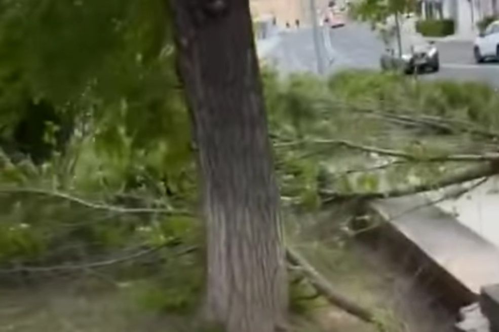 Olujno nevrijeme u regionu čupa stabla, nosi krovove, padaju komadi fasada...