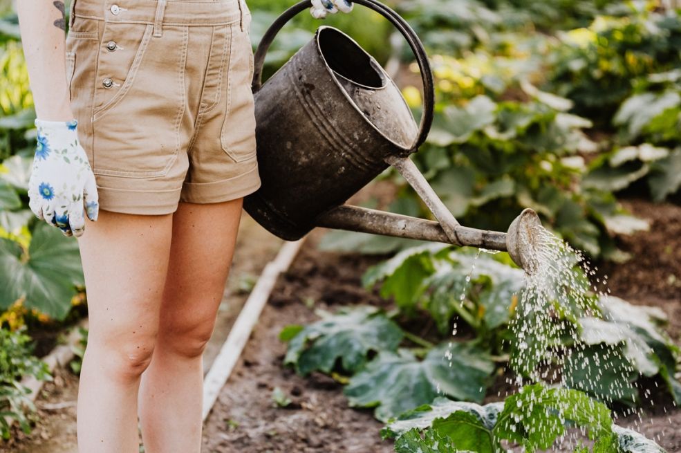 Jedan začin će biti od najvažniji za vašu baštu kada dođe prava jesen