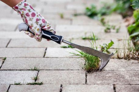 Sredstvo koje uništava korov: Zaboravite na čupanje i saginjanje