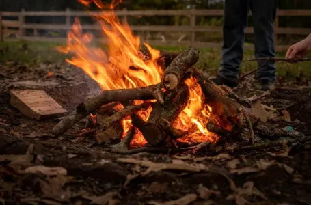 Ne zaboravite na ovaj VAŽAN OBIČAJ za PRVI MAJ: Donesite ovo iz prirode, vjeruje se da ŠTITI OD ZLA