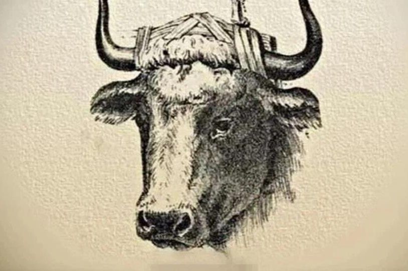 Optička iluzija brzinski mjeri IQ: Samo genije može da uoči skriveno lice za 20 sekundi!