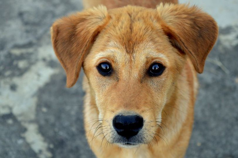 Svaki pas uradi 1 stvar kada mu priđe loša osoba: Ovu reakciju dobro zapamtite