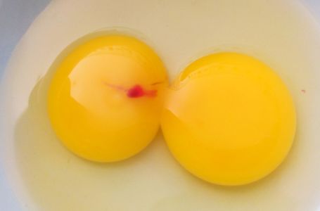 Jeste li ikada vidjeli crvene mrlje u jajetu? Evo o čemu se zapravo radi