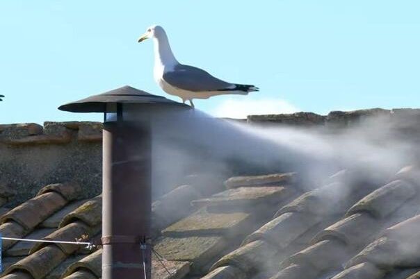 Imamo novog papu: Šta se sada dešava? Evo kada ćemo saznati ko je izabran