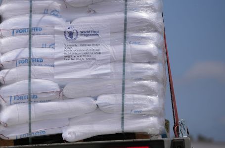 UN: U Gazu će ući 20 kamiona pomoći