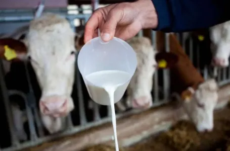 Srbija zabranila uvoz mlijeka iz BiH