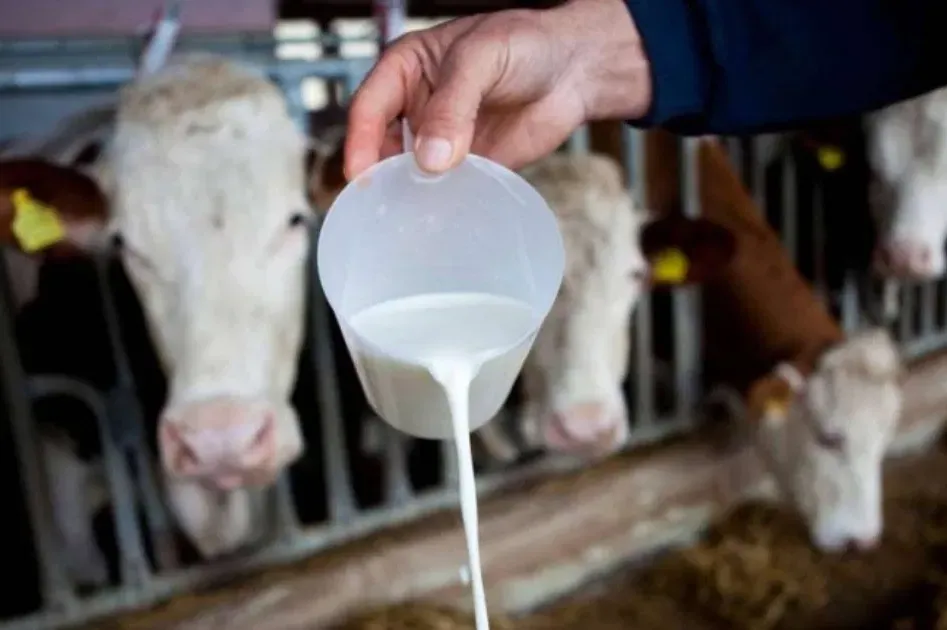 Srbija zabranila uvoz mlijeka iz BiH