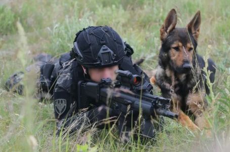 Oglasilo se Ministarstvo odbrane, objasnili zašto pse prodaju za bagatelu