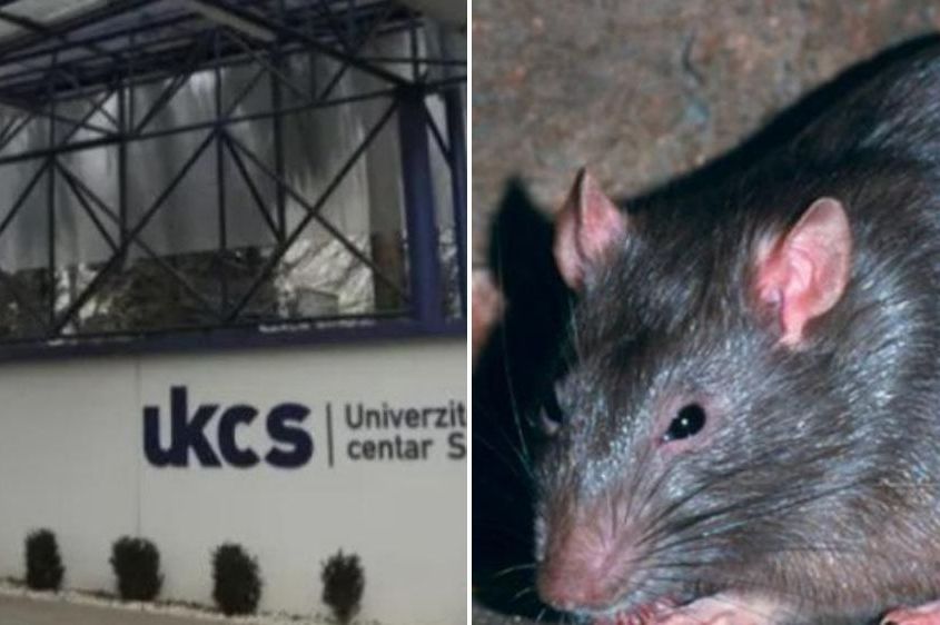 Tužilaštvo KS formiralo predmet zbog zarazne bolesti otkrivene u Sarajevu