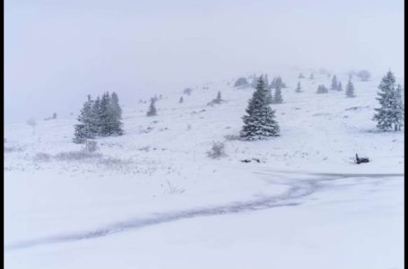 NEVJEROVATNI PRIZORI U HRVATSKOJ: Snijeg napadao kao da je januar, putevi zameteni...