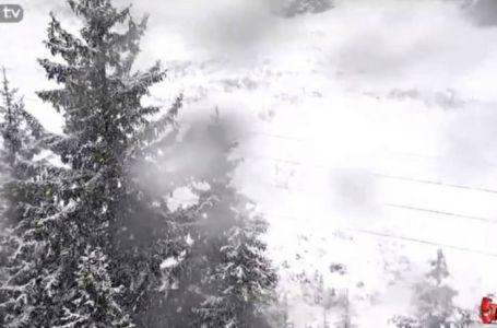 Drama na Vlašiću: Medvjed jurio mladića kod ski-staze, spasio se za dlaku!