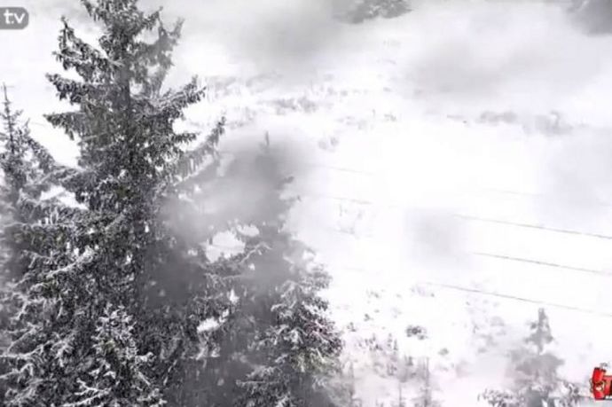 Drama na Vlašiću: Medvjed jurio mladića kod ski-staze, spasio se za dlaku!