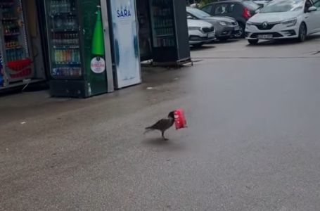 Milioni u nevjerici gledaju snimak iz Sarajeva: „Aj’ ti objasni šefu da je vrana ukrala…“ (VIDEO)