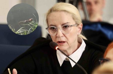 SEBIJA IZETBEGOVIĆ OBJAVILA ŠOKANTNE FOTOGRAFIJE: Možemo očekivati novi virus?