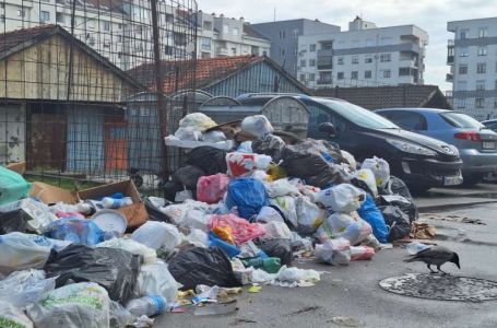 Leptospiroza stigla i u entitet RS: ŠTA JE ISTINA I ŠTA TREBATE ZNATI o opasnoj zarazi koja se širi