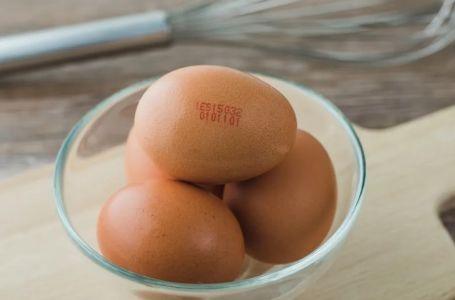 Znate li što znače oznake na jajima? Evo koja je najbolje kupiti