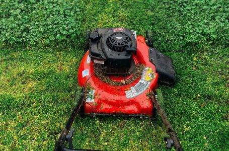 Ujutru ili uveče: Ovo je idealno vrijeme za košenje trave, jedino tako ćete imati najljepši travnjak