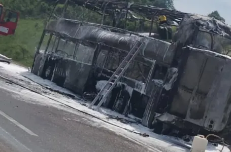 Užas na ekskurziji u Srbiji: Zapalio se autobus pun đaka