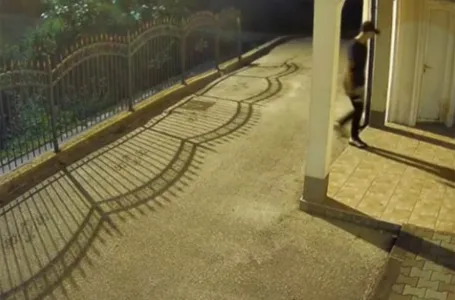 Opljačkana džamija u BiH: Traži se ovaj čovjek (VIDEO)