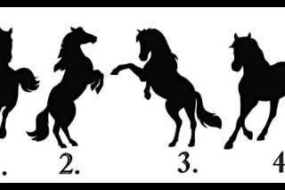 Izaberite jednog konja sa slike i za 30 sekundi otkrićete po čemu vas drugi ljudi pamte