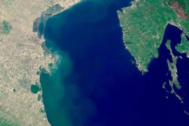 Nezgodne vijesti pred sezonu: Naučnici potvrdili – opasna otrovna riba sada stalni stanovnik Jadrana